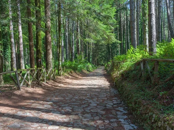 “I Sentieri Dimenticati”: l’organizzazione Gente in Aspromonte organizza una nuova escursione “I Sentieri Dimenticati”: l’organizzazione Gente in Aspromonte organizza una nuova escursione
