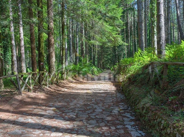 “I Sentieri Dimenticati”: l’organizzazione Gente in Aspromonte organizza una nuova escursione
