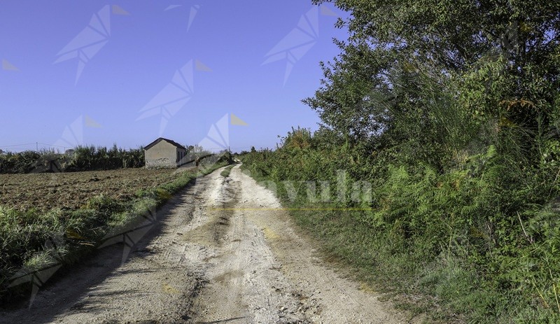 L’associazione Gente in Aspromonte organizza un’escursione “A Strata di Carri”