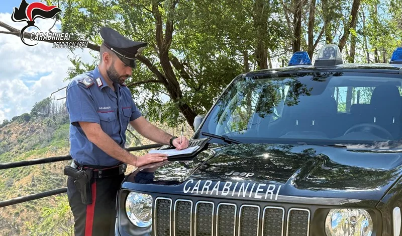 Sequestrata azienda per gestione illecita di rifiuti organici a Seminara Sequestrata azienda per gestione illecita di rifiuti organici a Seminara