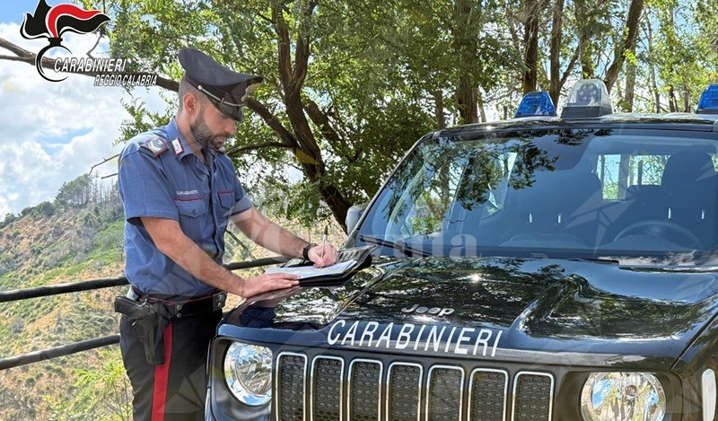 Sequestrata azienda per gestione illecita di rifiuti organici a Seminara