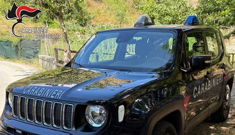 Allacci abusivi alla rete elettrica, due arresti a Bagnara e due denunce a Palmi