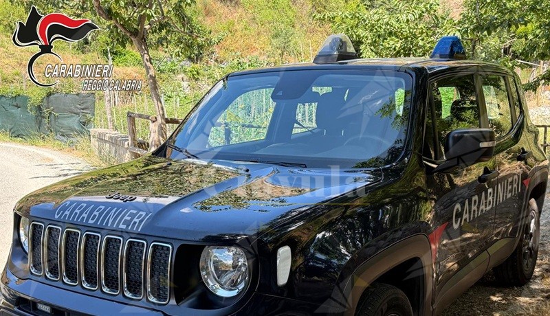 Allacci abusivi alla rete elettrica, due arresti a Bagnara e due denunce a Palmi