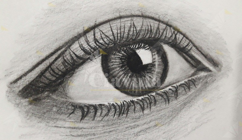 Al via a Cinquefrondi il Laboratorio di Disegno e Storia del Fumetto per bambini e ragazzi