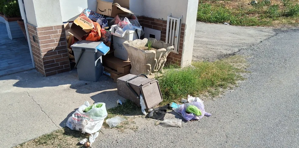 Il record del comune di Stignano: 18 giorni senza raccolta della carta. Umido e indifferenziata in balìa dei cani randagi e degli animali selvatici. Il record del comune di Stignano: 18 giorni senza raccolta della carta. Umido e indifferenziata in balìa dei cani randagi e degli animali selvatici.
