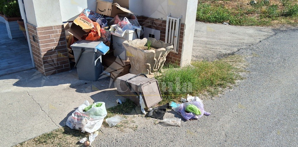 Il record del comune di Stignano: 18 giorni senza raccolta della carta. Umido e indifferenziata in balìa dei cani randagi e degli animali selvatici.
