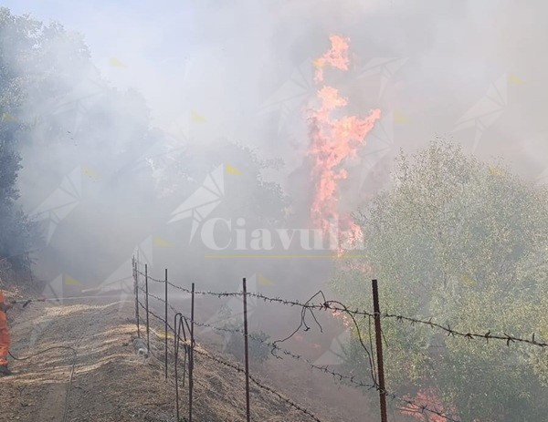 Incendio a Cufò e Migliuso di Caulonia