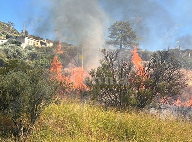 Incendio in località Mangione di Caulonia, interviene la Protezione Civile