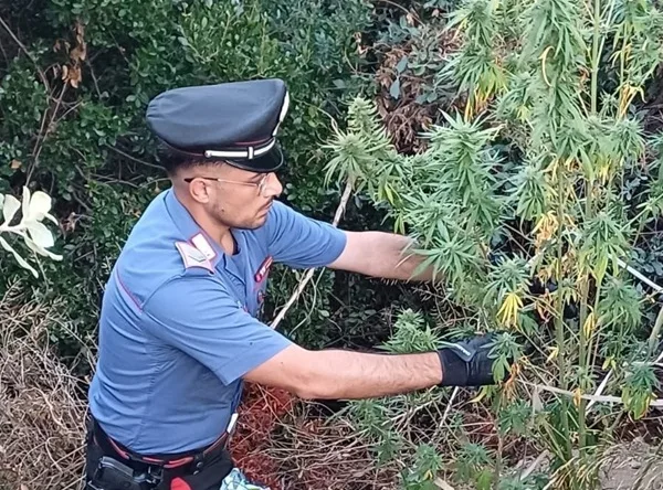 Beccato in possesso di cocaina, marijuana e hashish, arrestato