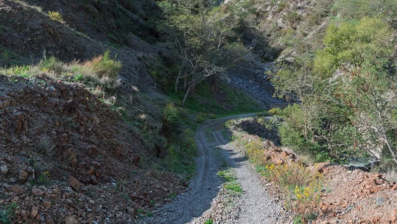 Gente in Aspromonte organizza un’escursione “A Mulattera i Salincriti”