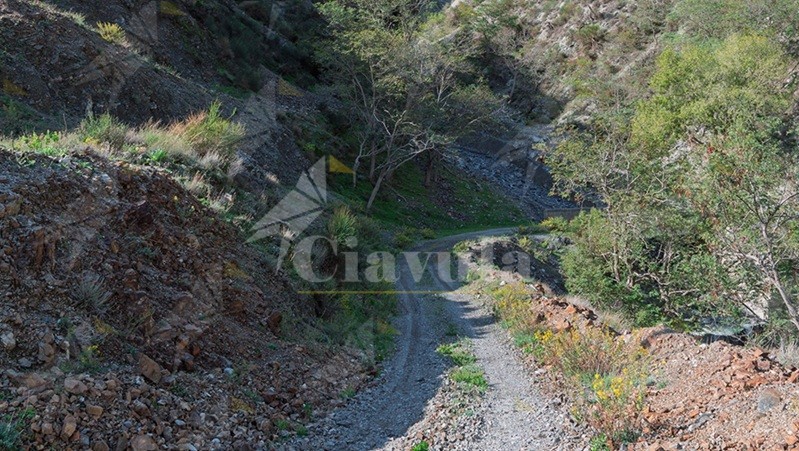 Gente in Aspromonte organizza un’escursione “A Mulattera i Salincriti” Gente in Aspromonte organizza un’escursione “A Mulattera i Salincriti”
