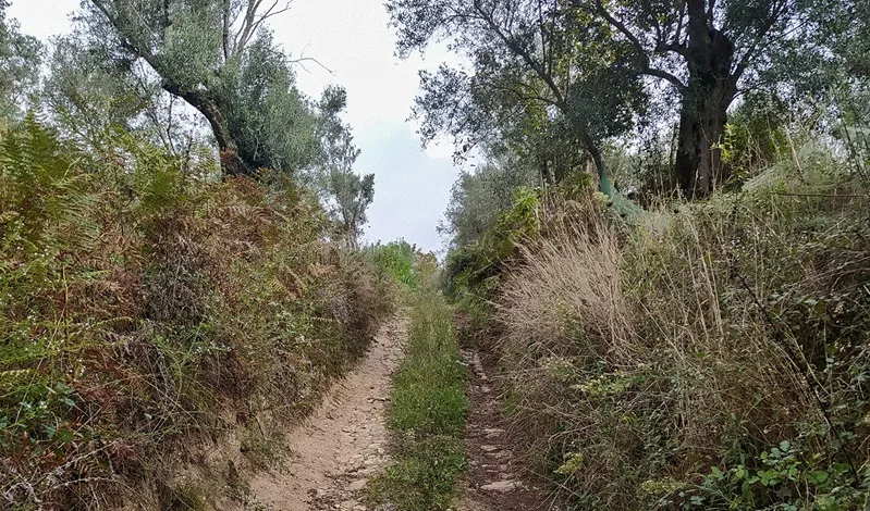 Gente in Aspromonte organizza un’escursione “A Carrera du Casali di Rose” Gente in Aspromonte organizza un’escursione “A Carrera du Casali di Rose”