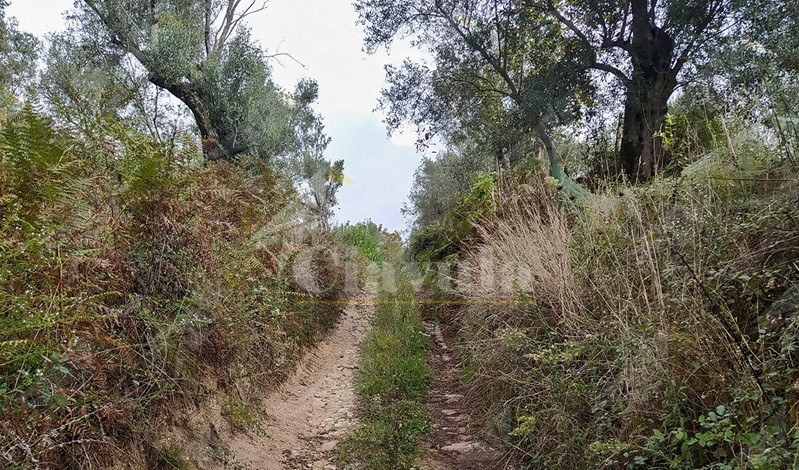 Gente in Aspromonte organizza un’escursione “A Carrera du Casali di Rose”