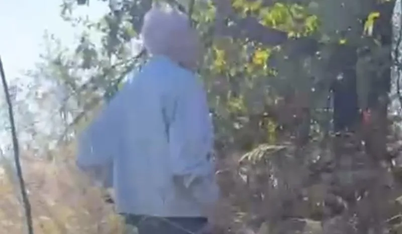 Giuseppe, quasi 90enne, torna a Caulonia dopo 25 anni da emigrato e trova la casa della sua gioventù in rovina – video Giuseppe, quasi 90enne, torna a Caulonia dopo 25 anni da emigrato e trova la casa della sua gioventù in rovina – video