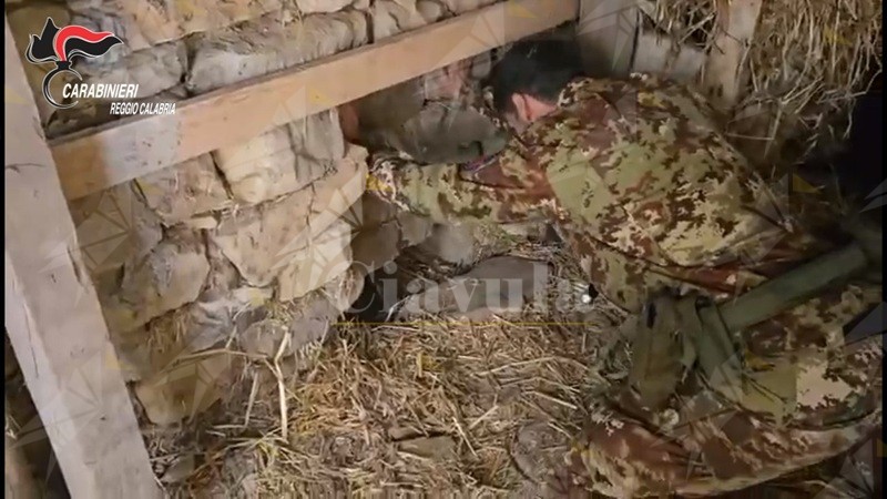 Scoperta una piantagione di marijuana in un bunker sotterraneo a Platì. Denunciato un uomo Scoperta una piantagione di marijuana in un bunker sotterraneo a Platì. Denunciato un uomo