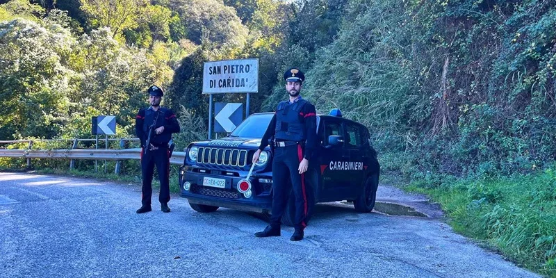 Scoperta una piantagione di cannabis indica nel reggino, 4 arresti