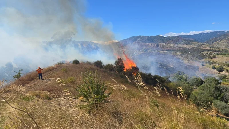 Incendio in corso tra Roccella e Caulonia: interviene la Protezione Civile