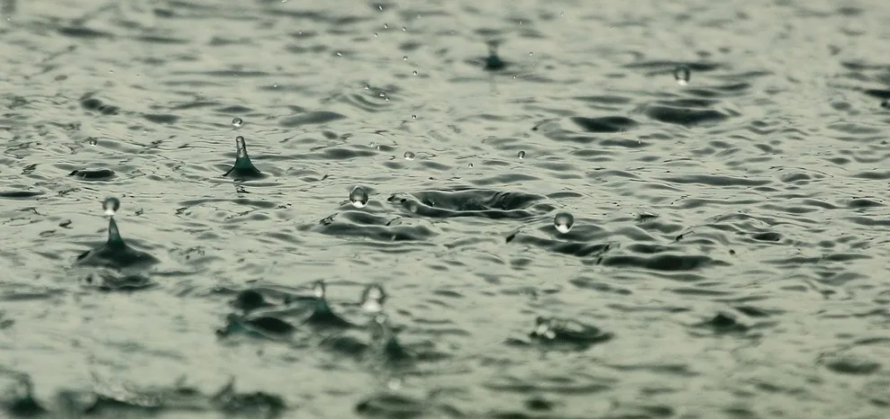 A Catanzaro Lido negozi allagati e disagi. Situazione critica sulla ss 106 tra Botricello, Cropani e Sellia Marina A Catanzaro Lido negozi allagati e disagi. Situazione critica sulla ss 106 tra Botricello, Cropani e Sellia Marina