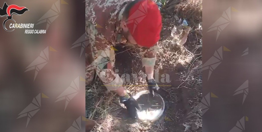 Aveva sotterrato 32 kg di droga in campagna. Arrestato un uomo di Gioiosa Ionica Aveva sotterrato 32 kg di droga in campagna. Arrestato un uomo di Gioiosa Ionica