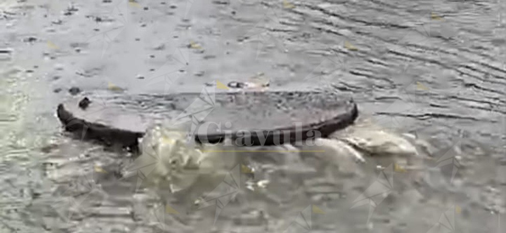 Piove un po’ e a Caulonia marina saltano i tombini – video