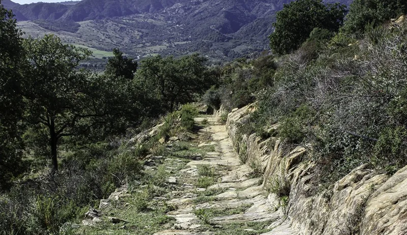 Gente in Aspromonte organizza un’escursione “A Carrera di Cunsulari”