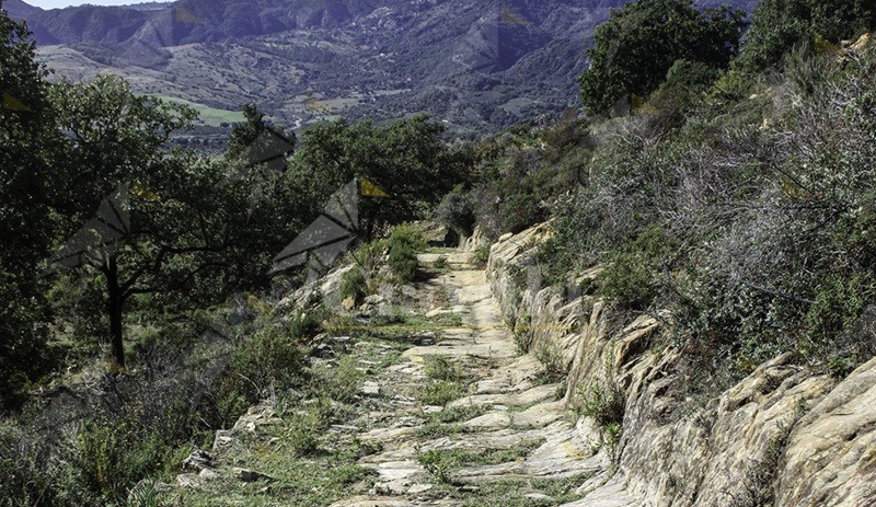 Gente in Aspromonte organizza un’escursione “A Carrera di Cunsulari”