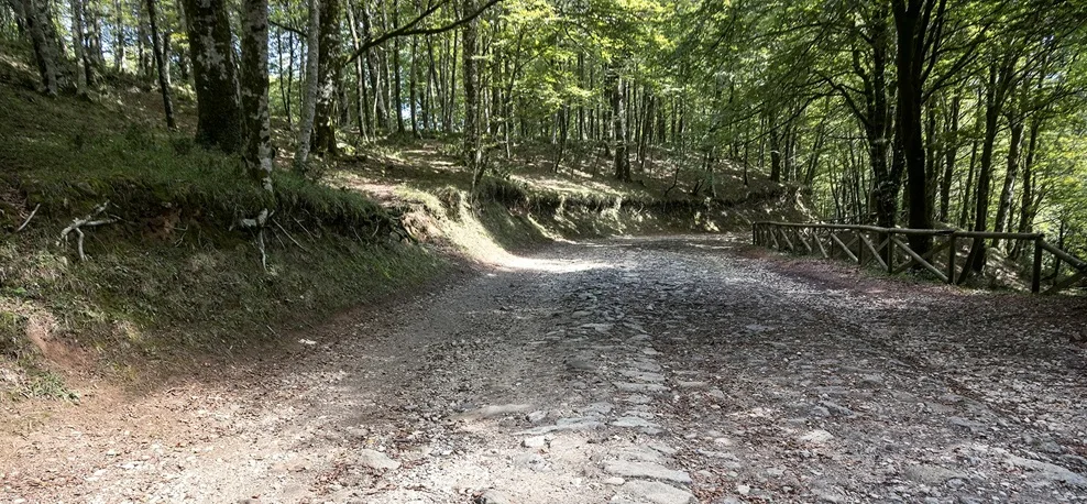 Gente in Aspromonte organizza un’escursione “A Mbricciata i San Bartolomeo”