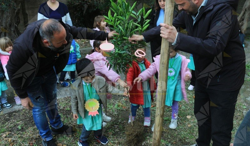 I bambini della scuola materna di Martone protagonisti della “Giornata dell’Albero” I bambini della scuola materna di Martone protagonisti della “Giornata dell’Albero”