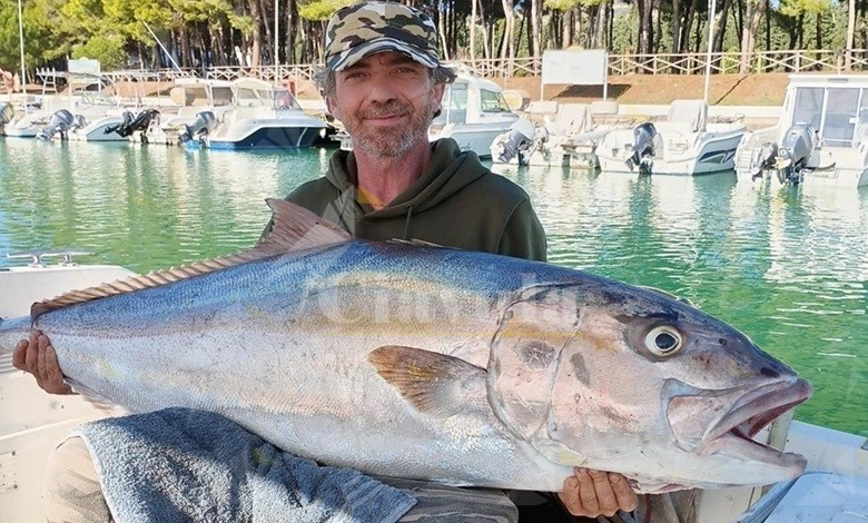 Foto del Giorno: pescata ricciola di 40 chili a Roccella