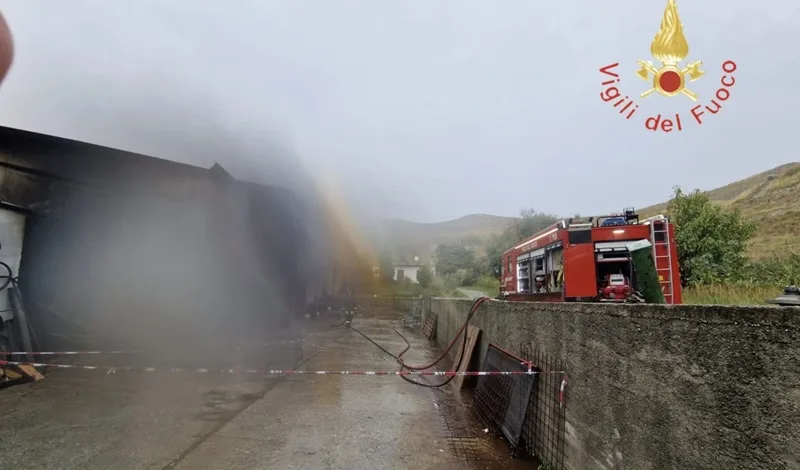 Maltempo a Catanzaro, fulmine provoca un incendio in un deposito agricolo: due ustionati e morti alcuni animali Maltempo a Catanzaro, fulmine provoca un incendio in un deposito agricolo: due ustionati e morti alcuni animali