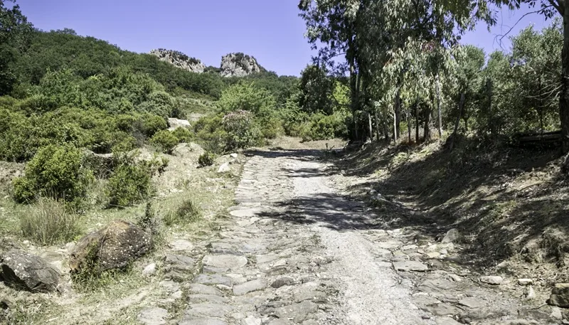 Gente in Aspromonte organizza un’escursione “A nzilicata du Ceramidìo” Gente in Aspromonte organizza un’escursione “A nzilicata du Ceramidìo”