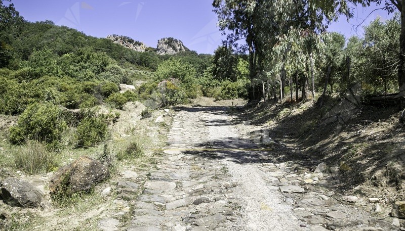 Gente in Aspromonte organizza un’escursione “A nzilicata du Ceramidìo”