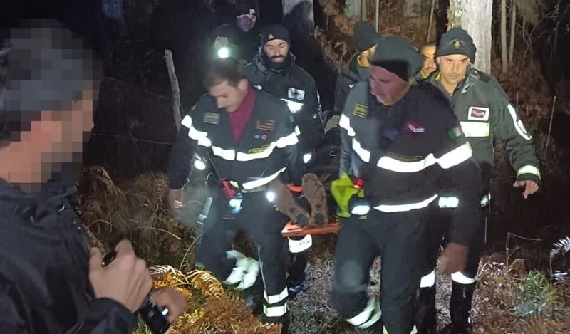 Calabria, anziano si perde cercando funghi: ritrovato in stato di ipotermia