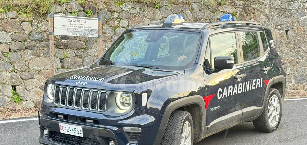 Colti in flagranza mentre tentano il furto. Arrestati dopo un inseguimento