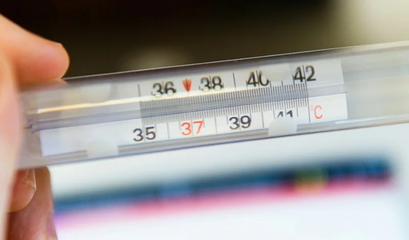 Influenza e virus respiratori, quasi un milione di casi in sette giorni. Il picco nelle prossime settimane