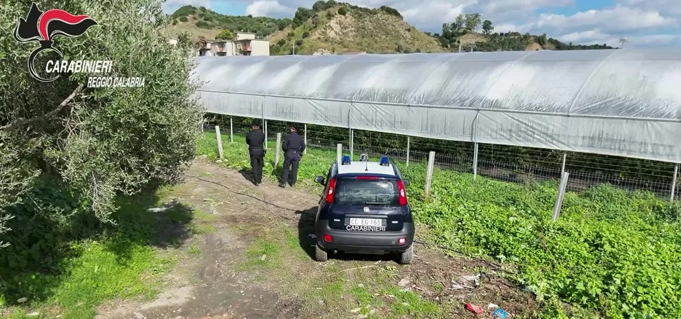 San Luca, serre illegali e prelievo d’acqua illecito dalla fiumara. Denunciate 4 persone San Luca, serre illegali e prelievo d’acqua illecito dalla fiumara. Denunciate 4 persone