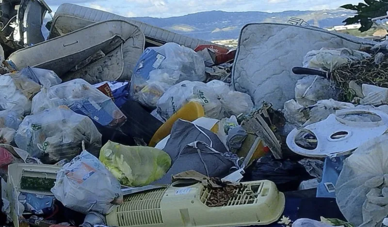 Discariche abusive e randagismo: OIPA e Guardia Agroforestale intensificano i controlli a Reggio Calabria Discariche abusive e randagismo: OIPA e Guardia Agroforestale intensificano i controlli a Reggio Calabria