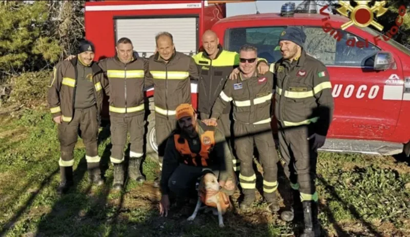 I Vigili del Fuoco salvano un cane da caccia rimasto intrappolato in una zona impervia