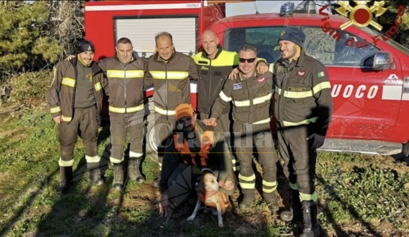 I Vigili del Fuoco salvano un cane da caccia rimasto intrappolato in una zona impervia