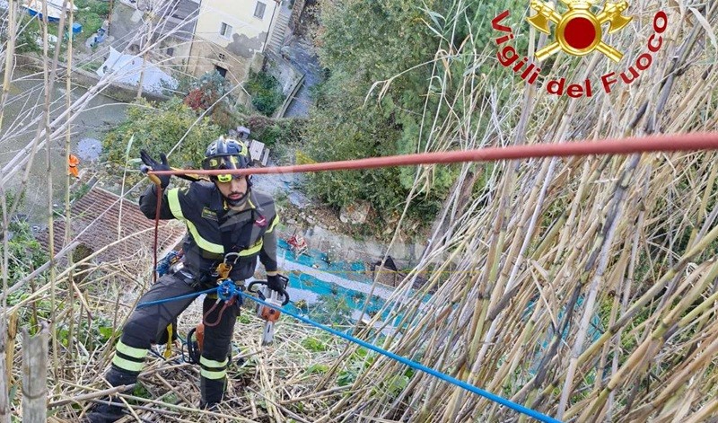 Alberi pericolanti su un costone a strapiombo a Pizzo: intervengono i vigili del fuoco