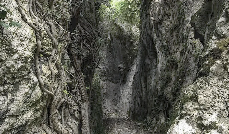 Gente in Aspromonte: 40 anni di “Una Storia in Cammino” con l’escursione alla Grotta dei Re