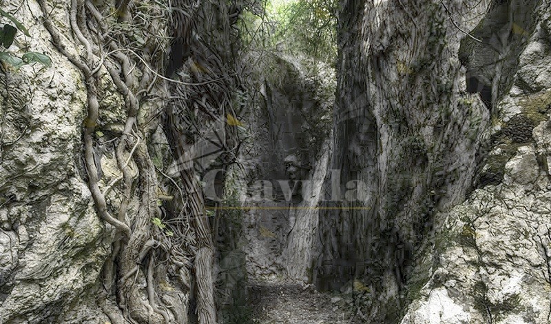 Gente in Aspromonte: 40 anni di “Una Storia in Cammino” con l’escursione alla Grotta dei Re