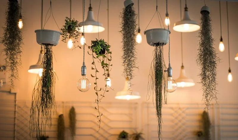 LED per la casa: come scegliere la luce giusta tra tecnica e uso quotidiano