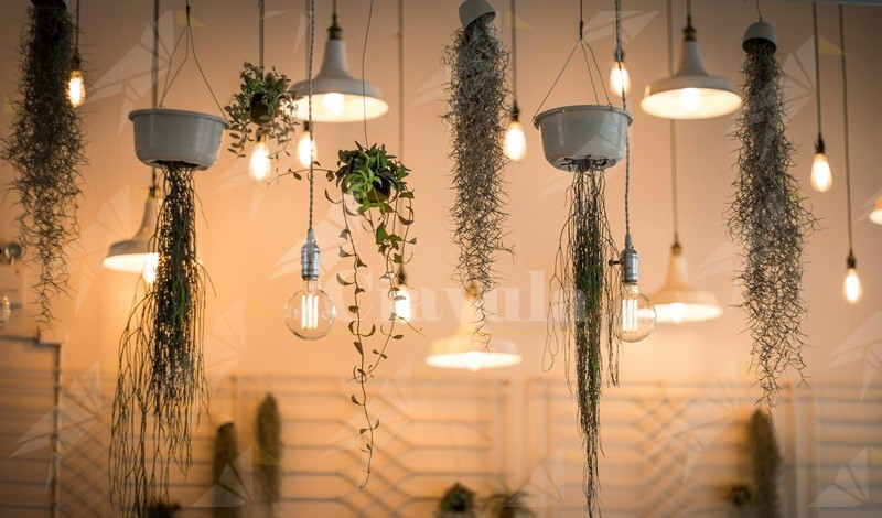 LED per la casa: come scegliere la luce giusta tra tecnica e uso quotidiano