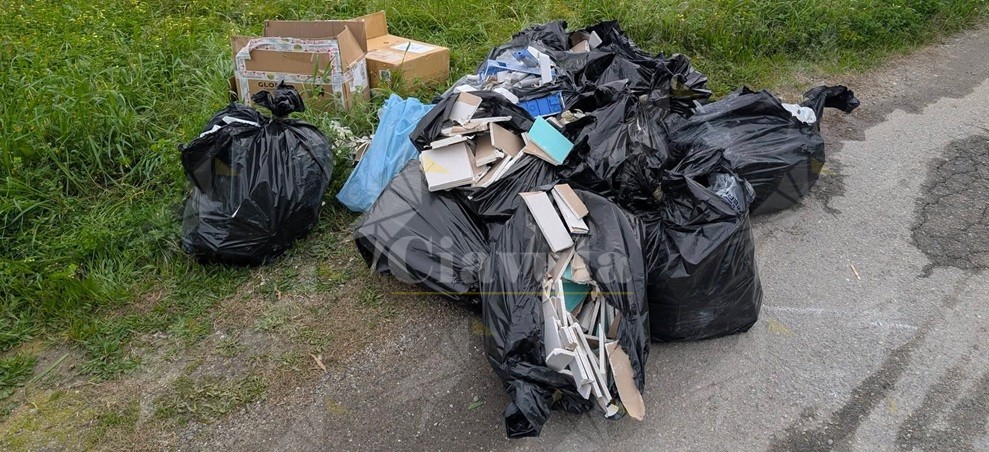Lamonica: “Favaco di Stignano non è una discarica. Non pensate di farla franca” Lamonica: “Favaco di Stignano non è una discarica. Non pensate di farla franca”