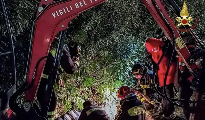 I Vigili del Fuoco salvano cuccioli di cane bloccati in una tubatura I Vigili del Fuoco salvano cuccioli di cane bloccati in una tubatura
