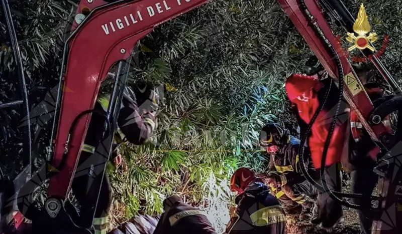 I Vigili del Fuoco salvano cuccioli di cane bloccati in una tubatura