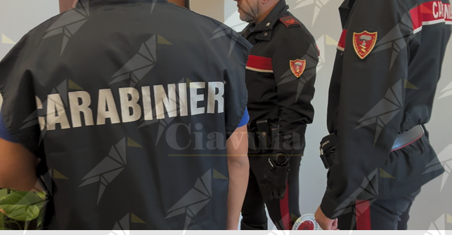 Blitz dei Carabinieri a Lamezia Terme: un arresto e una denuncia per spaccio e possesso di droga