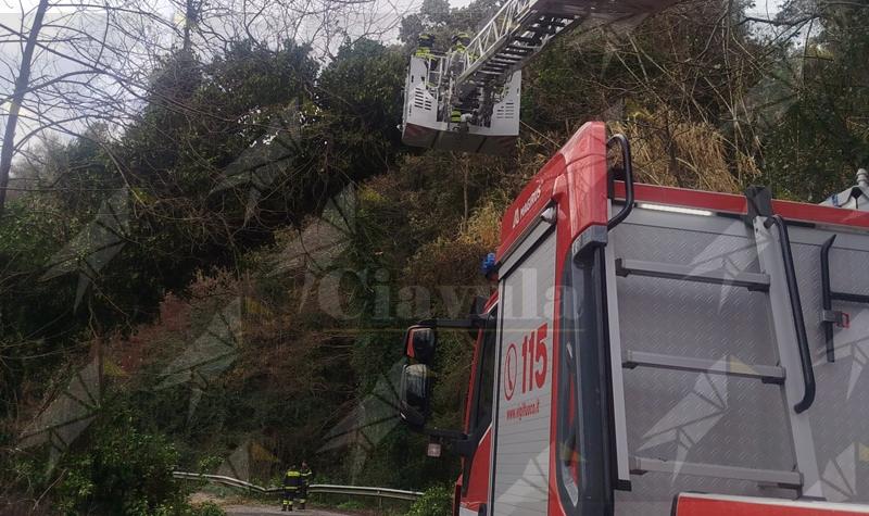 Maltempo nel Vibonese: oltre 40 interventi dei Vigili del Fuoco tra allagamenti e danni del vento