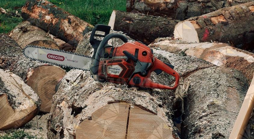 L’uomo che sussurrava alle motoseghe